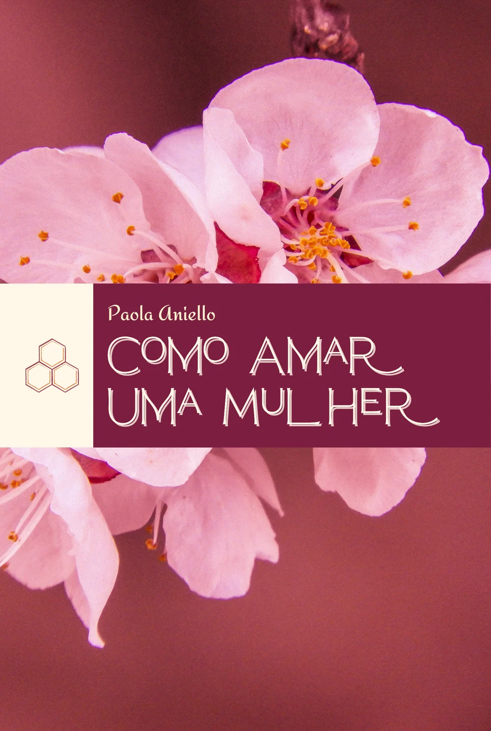 Capa do livro Como Amar Uma Mulher